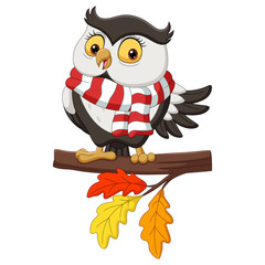 Sticker - Cute autumn owl cartoon wearing a scarf on tree branches