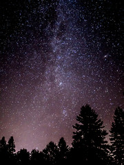 a completely vertical milky way on a farmland