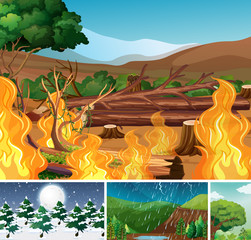 Wall Mural - Four different nature disaters scene of forest in different seasons cartoon style