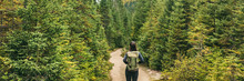 Autumn Hiker Woman Hiking In Forest Nature Panoramic Background. Travel Outdoors Girl Going Camping In Canada Banner.