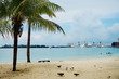 Cruise ships from the beach in Nassau harbor