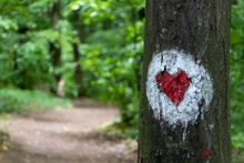 Hiking Trail Heart Shape Sign On The Tree In National Park Fruska Gora In Serbia