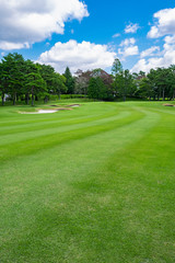 Wall Mural - Golf Course with beautiful green field. Golf course with a rich green turf beautiful scenery.