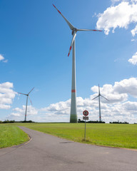 Wall Mural - wind turbines in german eifel in green grass with blue sky and white clouds