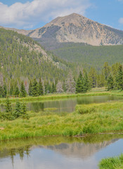 Wall Mural - Beautiful mountains, forest and landscape near Monarch Pass in the Rocky Mountains of Colorado 
