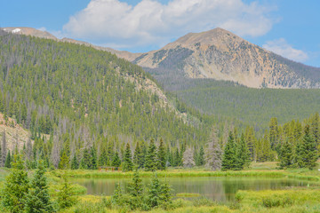 Wall Mural - Beautiful mountains, forest and landscape near Monarch Pass in the Rocky Mountains of Colorado 