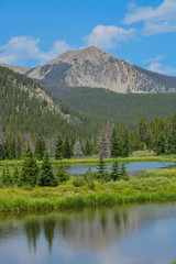 Wall Mural - Beautiful mountains, forest and landscape near Monarch Pass in the Rocky Mountains of Colorado 