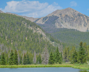 Wall Mural - Beautiful mountains, forest and landscape near Monarch Pass in the Rocky Mountains of Colorado 