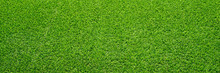 Artificial Grass Field Meadow Green. Top View Texture. 