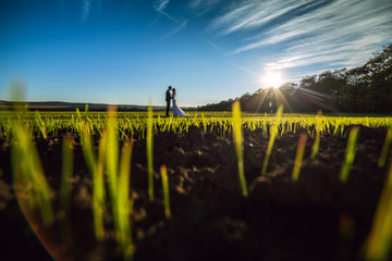 Beautiful young couple, bride and groom walking on a sunny day outdoors. Man and woman in a wedding dress posing on a background of blue sky and nature looking at each other