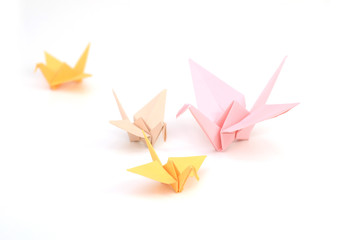 Wall Mural - Colorful Origami birds on white
