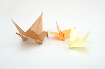 Wall Mural - Set of Origami paper birds on white