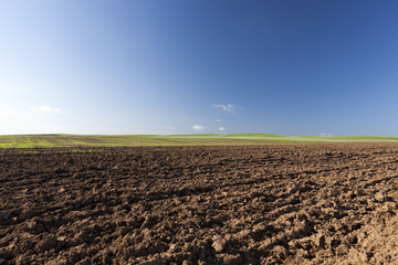 an agricultural field