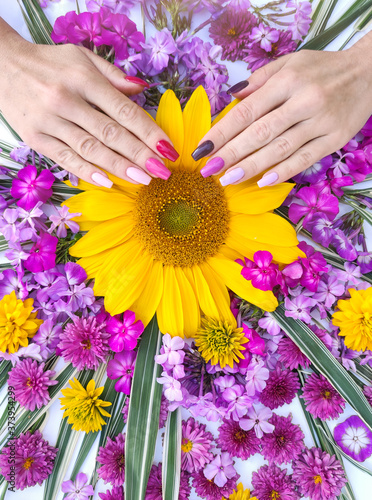 Αφίσα Beautiful multi-colored nail design on women's hands with a bouquet of sunflower and chrysanthemums pink lilac and yellow