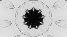 Fractal Animation. Ink Water Splash. Black White Kaleidoscope Abstract Flower Pattern Psychedelic Motion. Dynamic Symmetrical Abstract Background. Dark Smoke Cloud Flow In Crystal Ball.