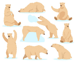 Canvas Print - Polar white bear. Arctic snow bear, cute north bear character, angry fur wildlife mammal character isolated vector illustration icons set. Arctic bear in snow, winter polar mammal fur