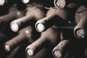 Wall Mural - aged wine bottles covered with mold in vintage wine cellar