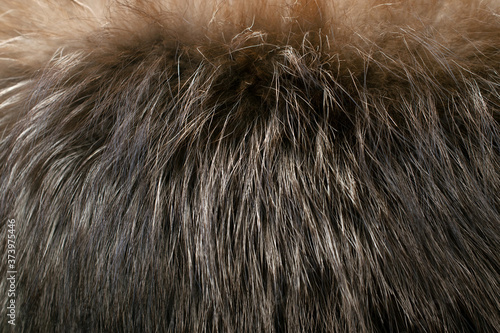 Photographie Brown fur as background. Closeup