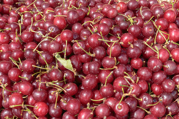 Wall Mural - Fresh cherry on the counter of a street market. Healthy eating concept.