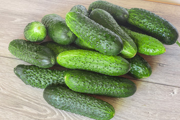 Wall Mural - Heap of fresh cucumbers from the Farmers Market.