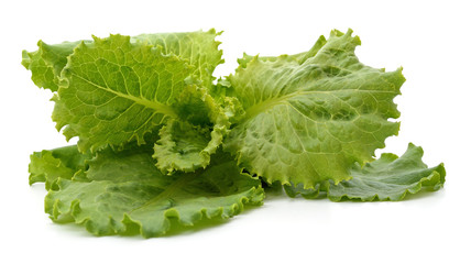 Canvas Print - Bunch of green lettuce leaves.