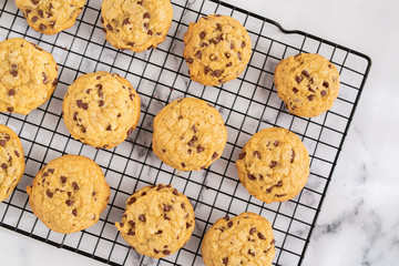 Wall Mural - Chocolate Chip Cookies on Wire Cooling Rack