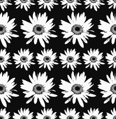 Wall Mural - Floral botanical graphic retro vintage decorative seamless black and white pattern, daisies chamomile flowers on black background 