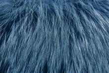 Blue Fur As Background. Close Up