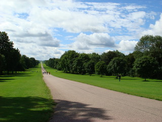 Sticker - road in the park