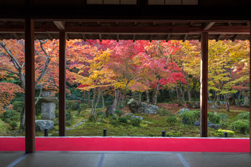 Poster - The fall foliage in Kyoto is especially beautiful.