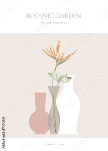 Heliconia rostrata flowers with leaves in vase