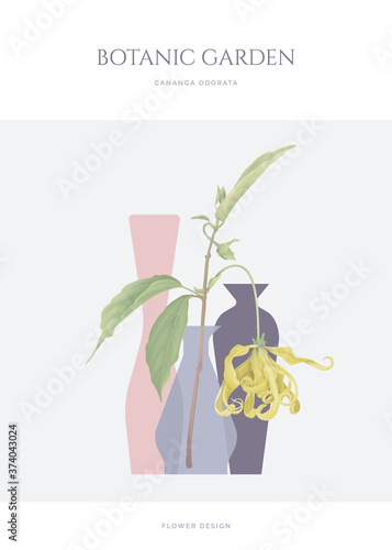 Cananga odorata flowers with leaves in vase