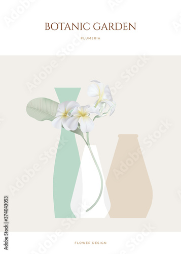 Plumeria flowers with leaves in vase
