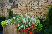 Old Stone Wall With Colorful Flowers Pots Upfront
