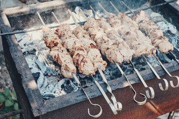 Barbecue on the coals. Grilled meat on a spit.