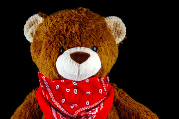 Teddy Bear With a Red Bandana Around Neck on a Black Background