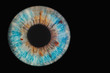 © Lorant - blue eye on black background