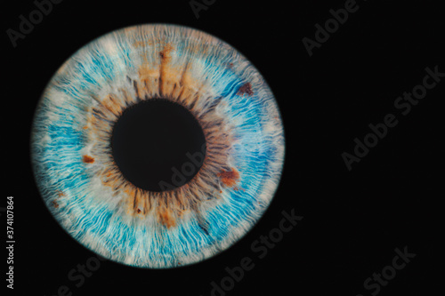 blue eye on black background Poster Mural XXL