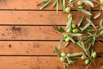 Sticker - Olive branches with olives on table background top