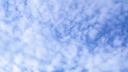 Wall Mural - Cirrus clouds in the sky background, texture. smoky, because they consist entirely of ice crystals falling in the atmosphere