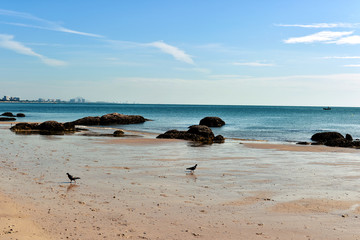 Tropical beach, summer sea sunny sky background