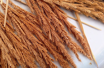 dry grass flower on wood background