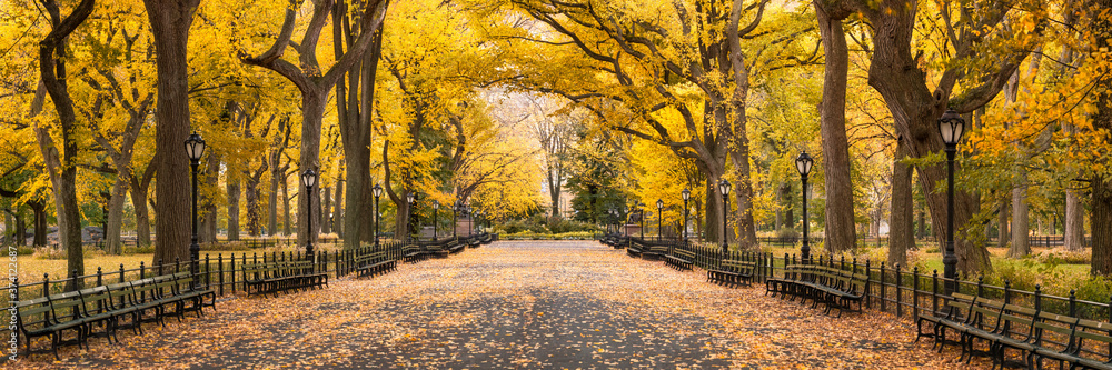 Central Park in autumn, New York City, USA - obrazy, fototapety, plakaty 