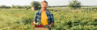 panoramic concept of farmer in plaid shirt holding box with fresh harvest while standing on plantation