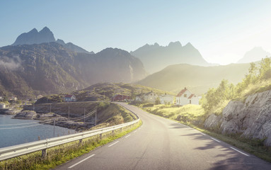 Wall Mural - road and mist, lofoten islands, norway