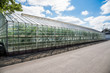Exterior of a geothermal heated greenhouse for growing vegetable in Iceland on a sunny summer day