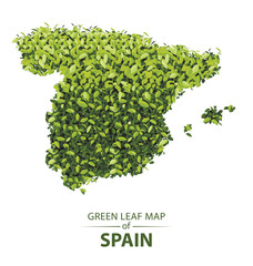 Green leaf map of spain vector illustration of a forest is concept