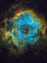 Rosette Nebula