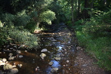 Still Image Of A Babbling Brook In Rutgers Gardens, New Brunswick, New Jersey, Next To The Bamboo Forest