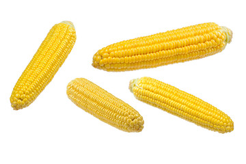 Yellow corn isolated on white background. Copyspace.